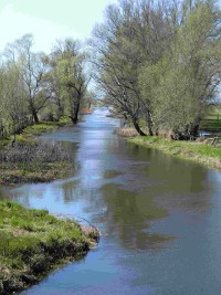 Flusslandschaft in Brandenburg hydrobiologie, gewässeruntersuchung, wasserrahmenrichtlinie, makrozoobenthos, makrophyten, saprobie, limnologie, biologische gutachten, gewässer, strukturkartierung, seen, fliessgewässer, bäche, monitoring, gewässerentwicklungspläne, teiche, beläge, gewässerökologie, freeze core